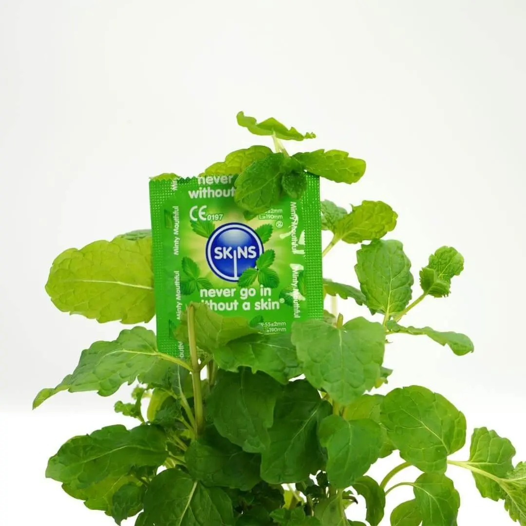 Mint Condoms - Image 8